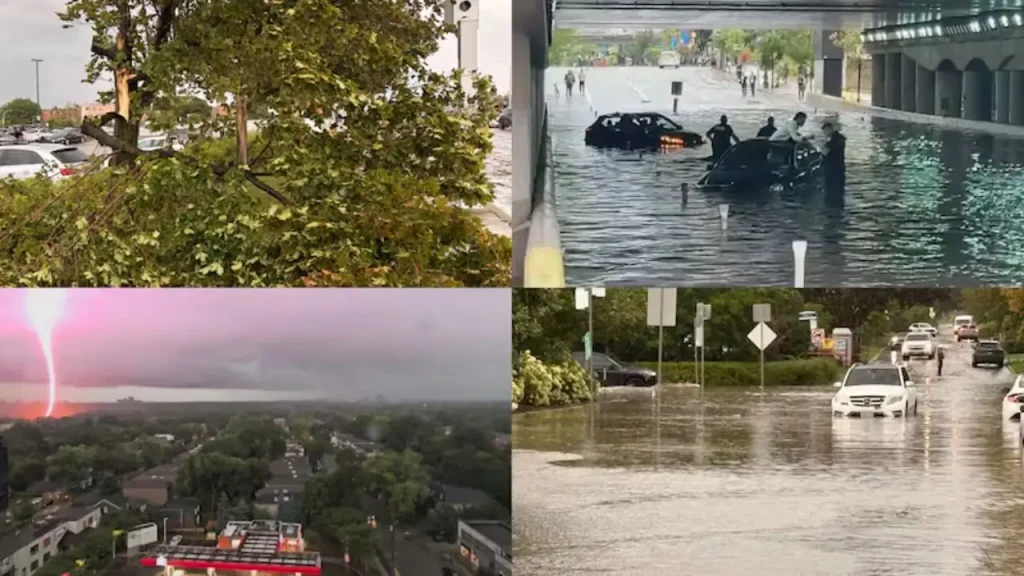 toronto storm