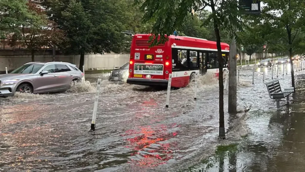 toronto storm